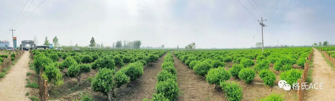 植保無人機(jī)比賽場地 植保無人機(jī)比賽場地