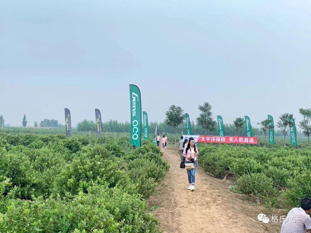無人機(jī)比賽場地 無人機(jī)比賽場地