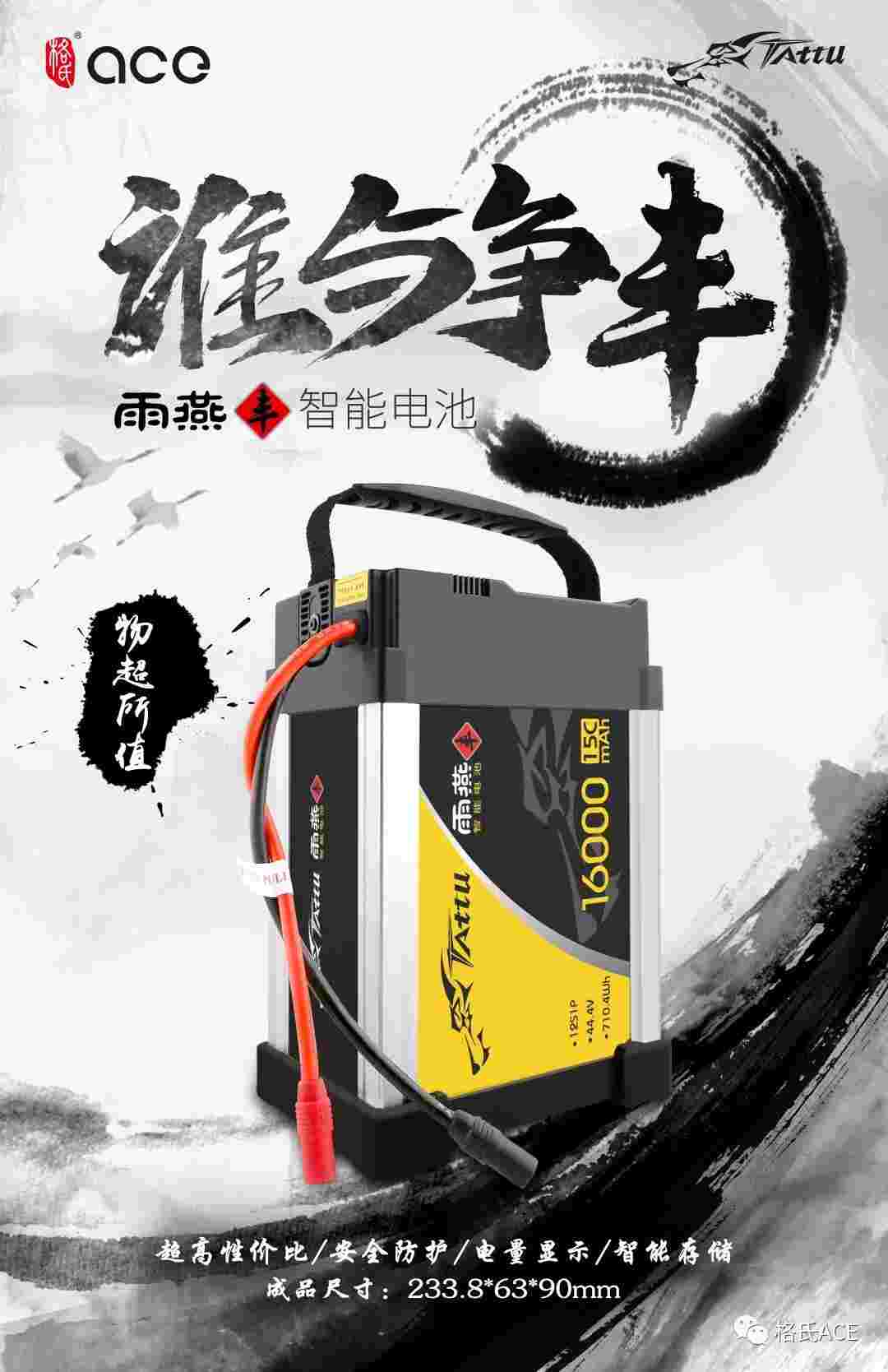 雨燕“豐”智能電池 雨燕“豐”智能電池