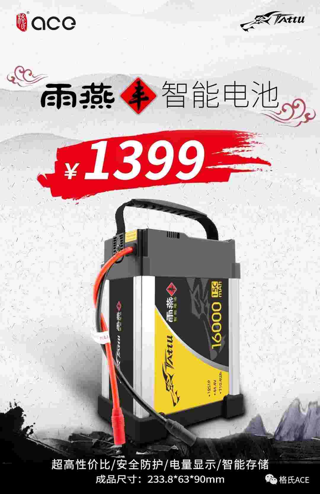 雨燕“豐”智能電池 雨燕“豐”智能電池