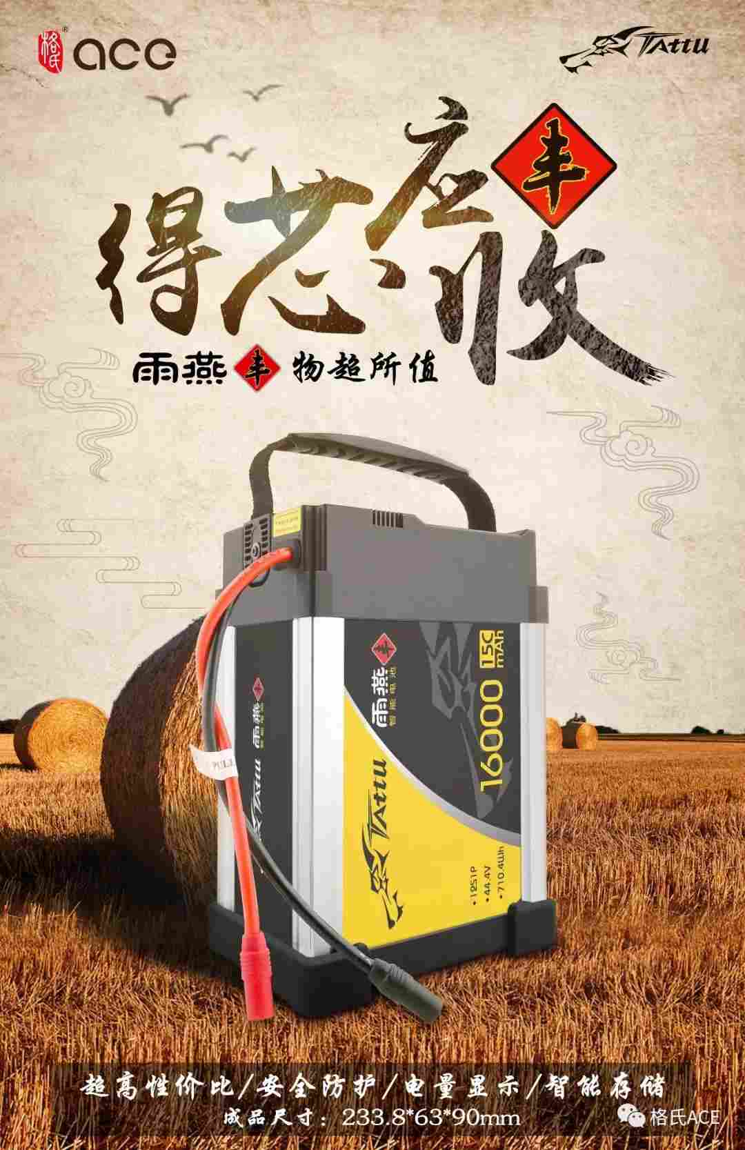 雨燕“豐”智能電池 雨燕“豐”智能電池
