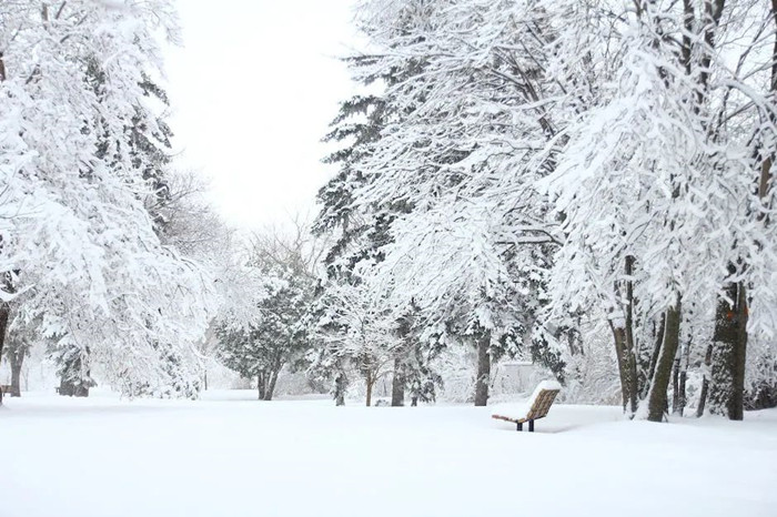 冰雪低溫環(huán)境 冰雪低溫環(huán)境