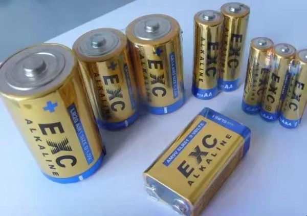 堿性鋅錳干電池 堿性鋅錳干電池